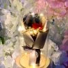 Valeria'S Boutique Pre-lit Enchanted Rose In Glass Dome (Red) Birthday / Anniversary Gifts 1 Valeria'S Boutique Pre-lit Enchanted Rose In Glass Dome (Red) Birthday / Anniversary Gifts